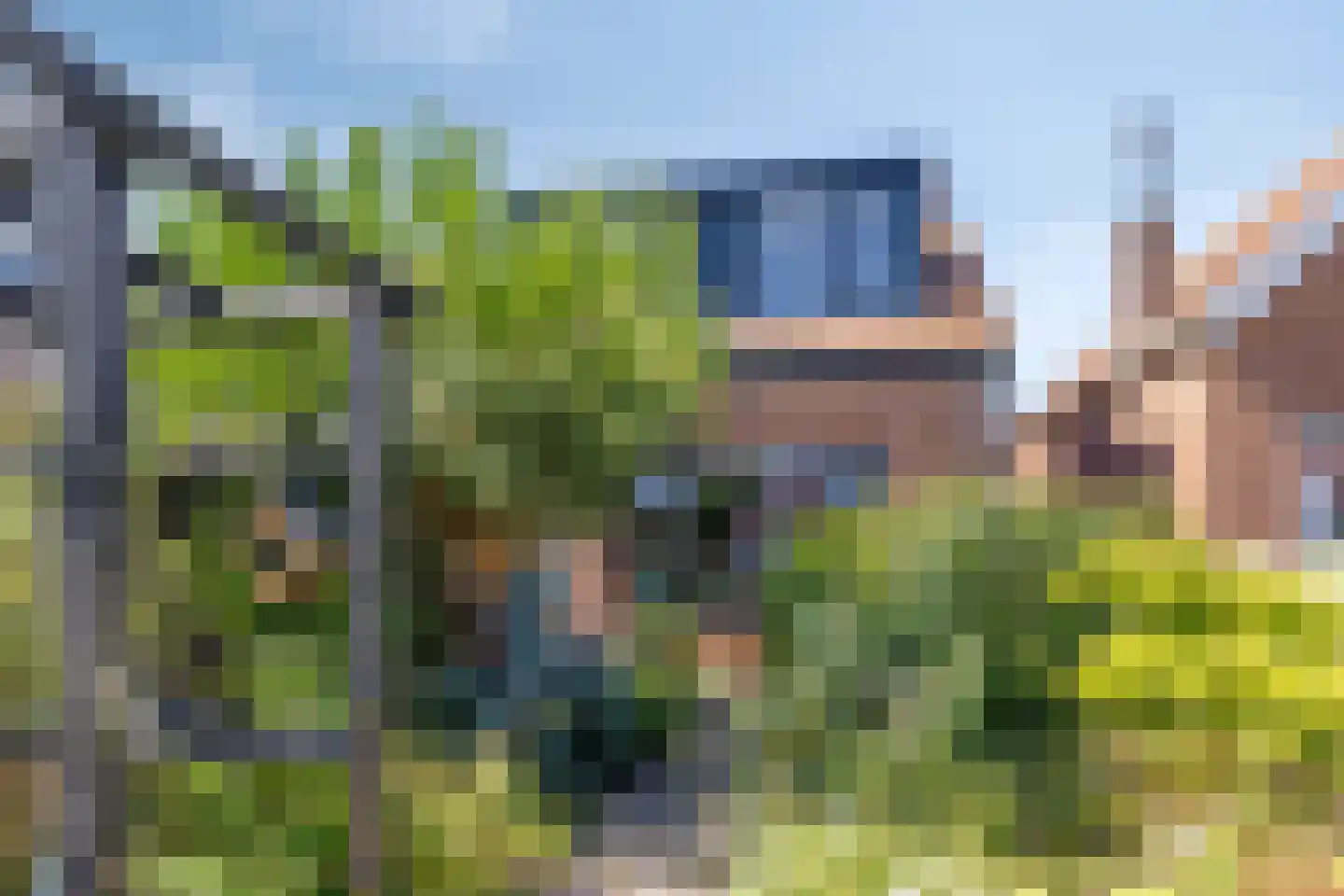 Molenweg 61 Kamperland thumbnail 8
