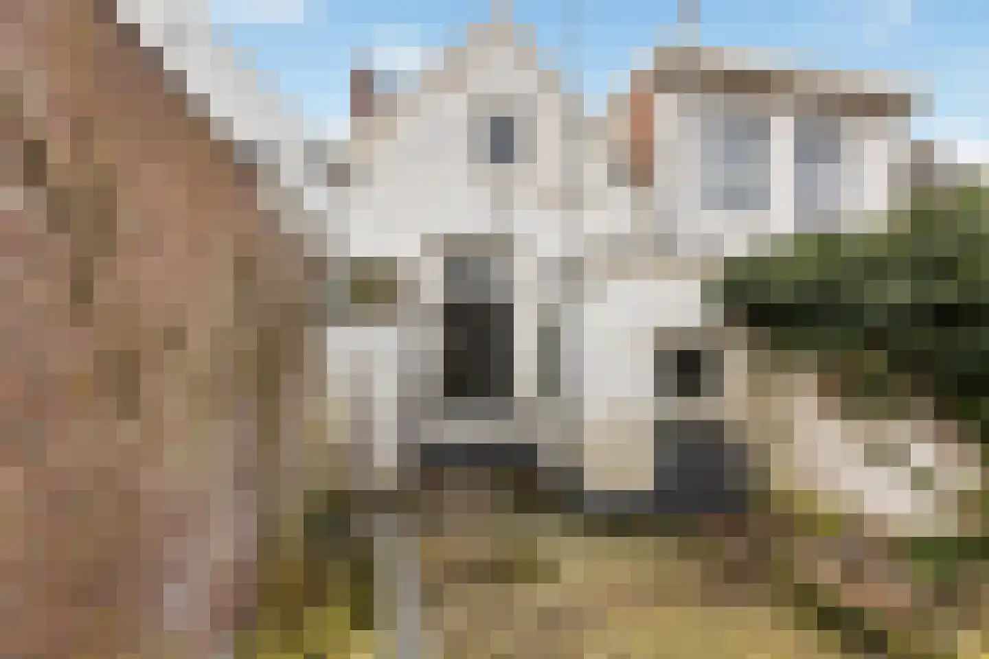 Molenweg 61 Zwolle thumbnail 18