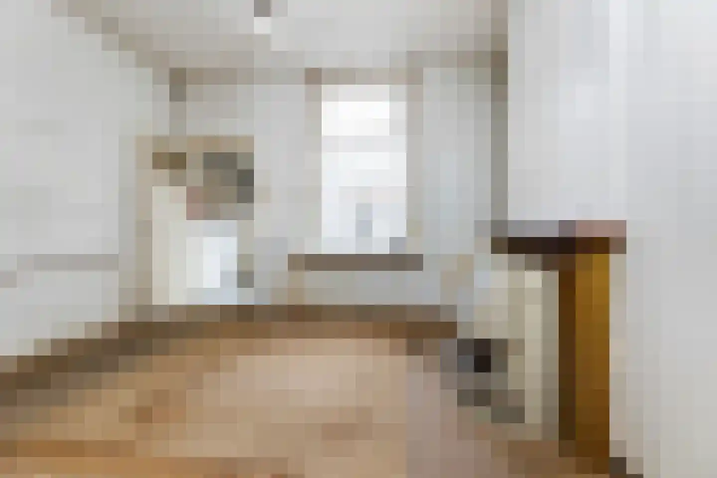 Molenweg 61 Zwolle thumbnail 8