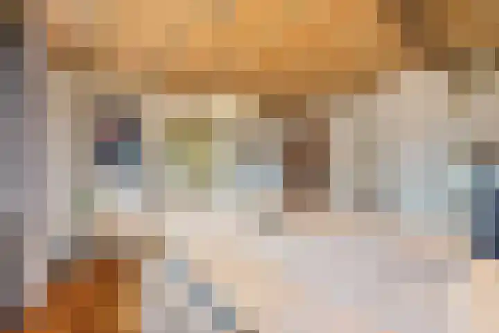 Molenweg 62 Bergharen thumbnail 11