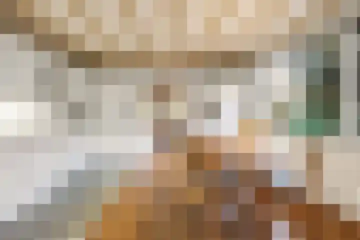 Molenweg 62 Bergharen thumbnail 12