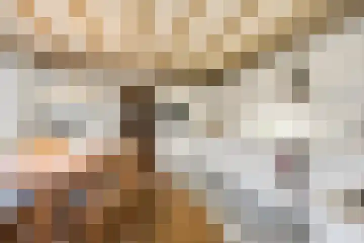 Molenweg 62 Bergharen thumbnail 14