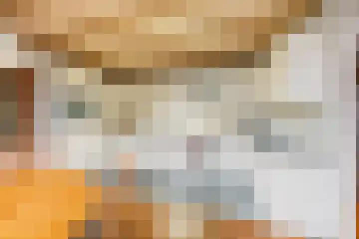 Molenweg 62 Bergharen thumbnail 16