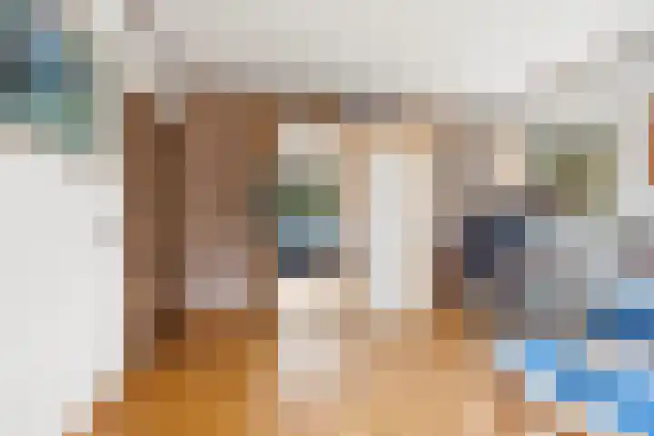 Molenweg 62 Bergharen thumbnail 23