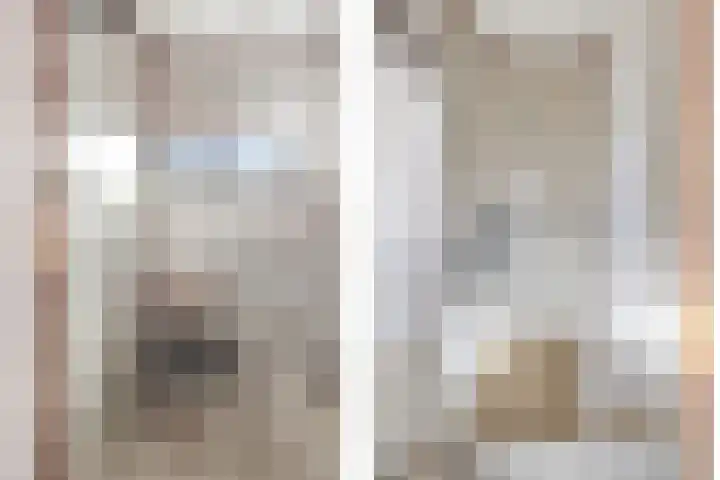 Molenweg 62 Bergharen thumbnail 25