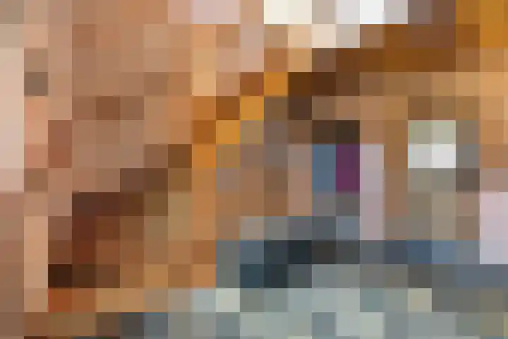 Molenweg 62 Bergharen thumbnail 28