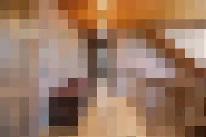 Molenweg 62 Bergharen thumbnail 31