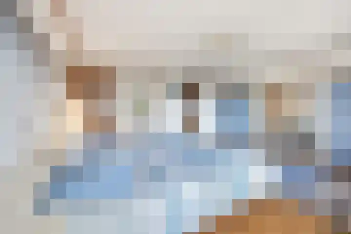 Molenweg 62 Bergharen thumbnail 34