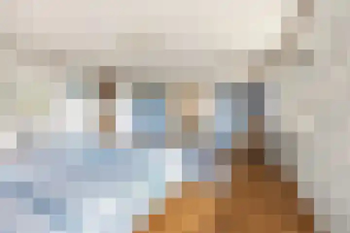 Molenweg 62 Bergharen thumbnail 35