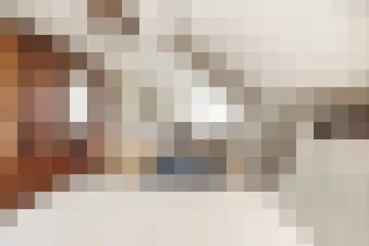Molenweg 62 Bergharen thumbnail 37