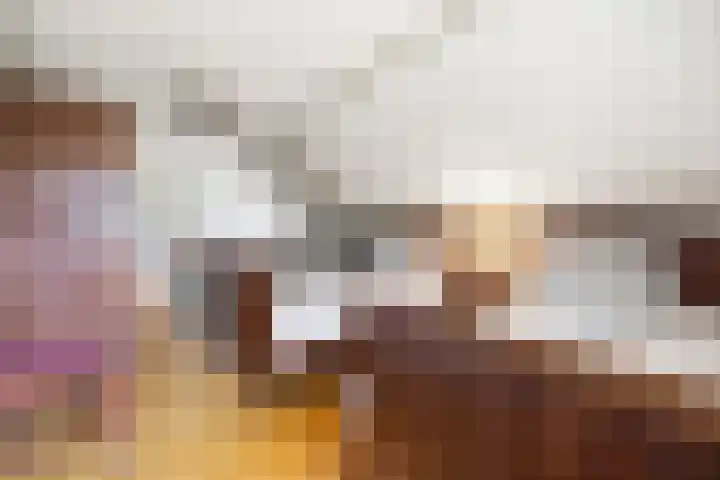 Molenweg 62 Bergharen thumbnail 38
