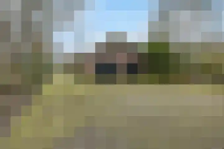 Molenweg 62 Bergharen thumbnail 4