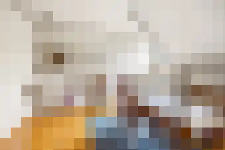 Molenweg 62 Bergharen thumbnail 40