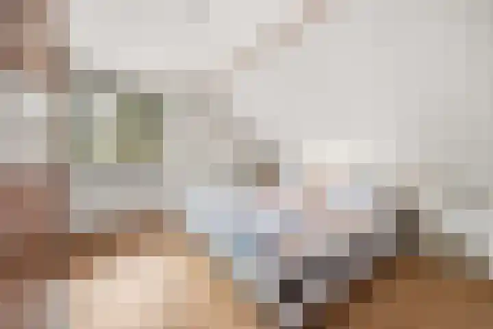 Molenweg 62 Bergharen thumbnail 41
