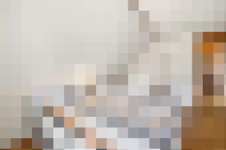Molenweg 62 Bergharen thumbnail 42