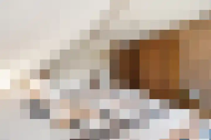 Molenweg 62 Bergharen thumbnail 43