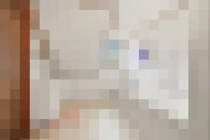 Molenweg 62 Bergharen thumbnail 44