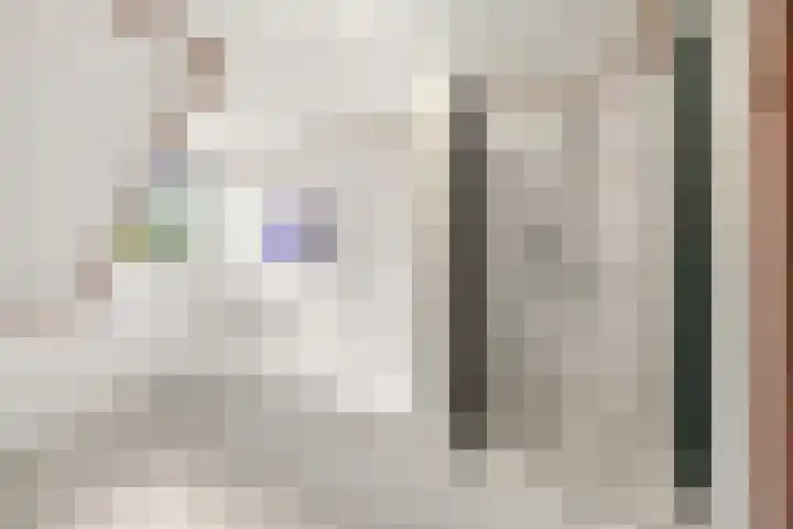Molenweg 62 Bergharen thumbnail 45