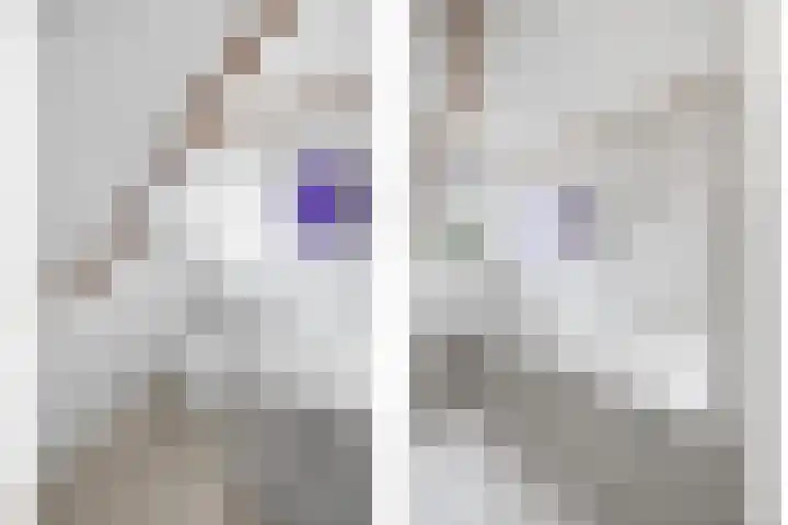 Molenweg 62 Bergharen thumbnail 47