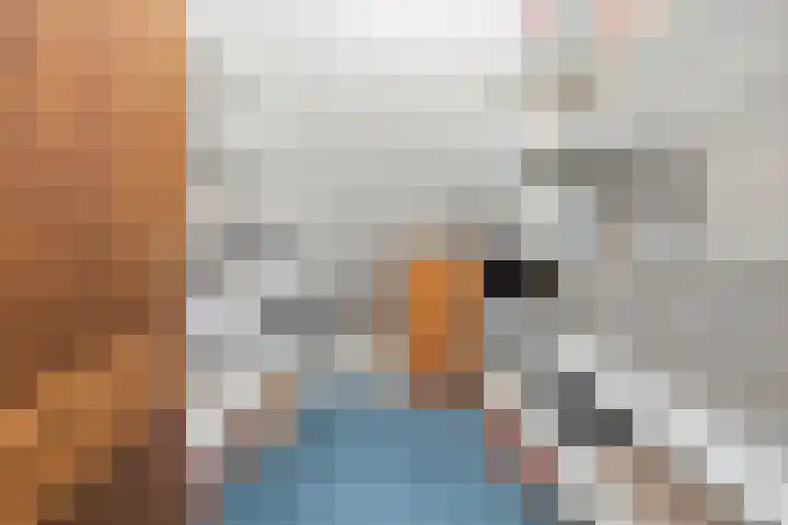 Molenweg 62 Bergharen thumbnail 48