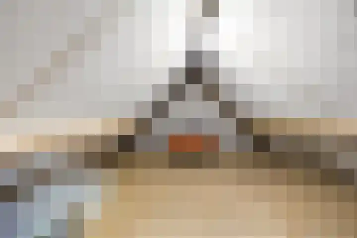 Molenweg 62 Bergharen thumbnail 50