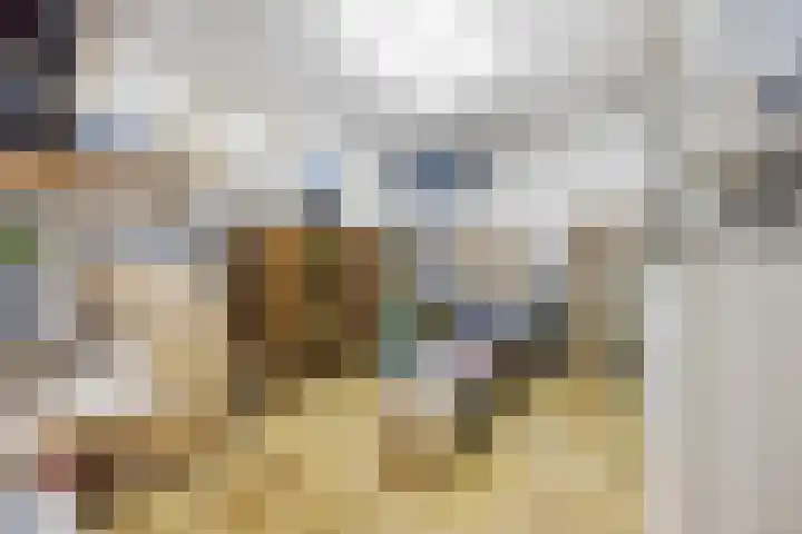 Molenweg 62 Bergharen thumbnail 52