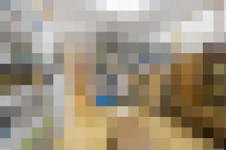 Molenweg 62 Bergharen thumbnail 53