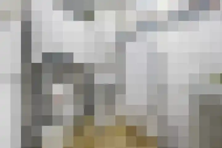 Molenweg 62 Bergharen thumbnail 54