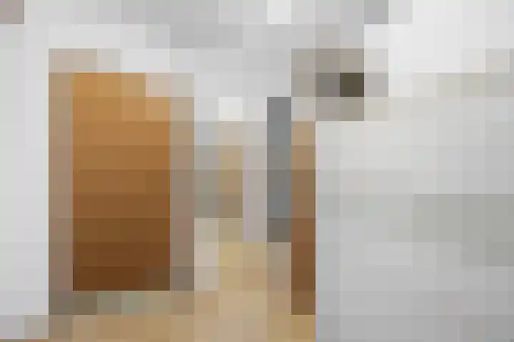 Molenweg 62 Bergharen thumbnail 55