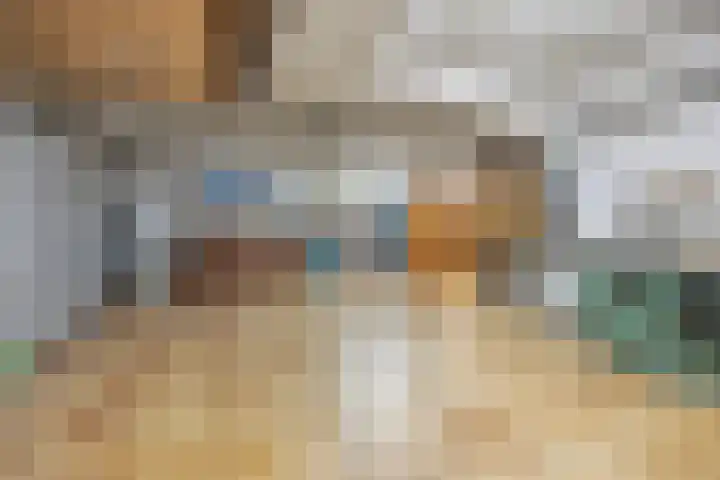 Molenweg 62 Bergharen thumbnail 58