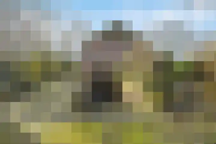 Molenweg 62 Bergharen thumbnail 59