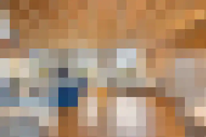 Molenweg 62 Bergharen thumbnail 6