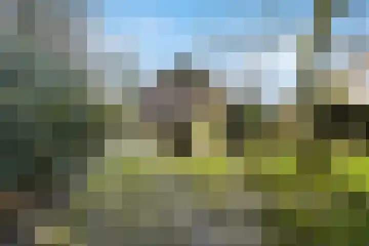 Molenweg 62 Bergharen thumbnail 60