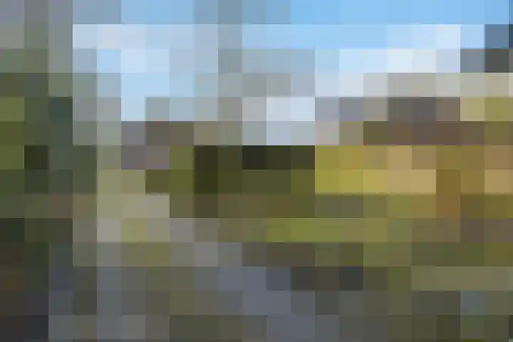Molenweg 62 Bergharen thumbnail 61