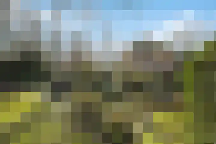 Molenweg 62 Bergharen thumbnail 62