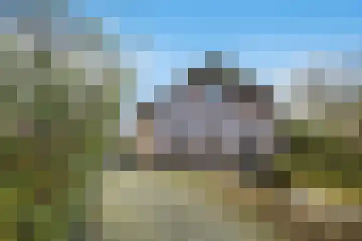 Molenweg 62 Bergharen thumbnail 63