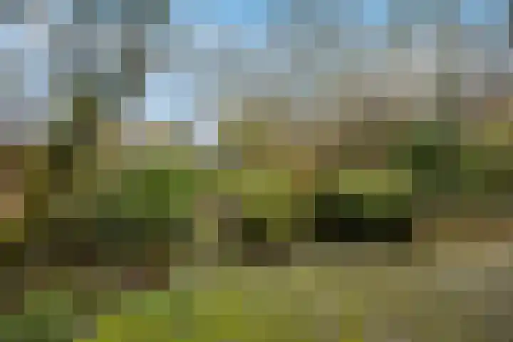 Molenweg 62 Bergharen thumbnail 64