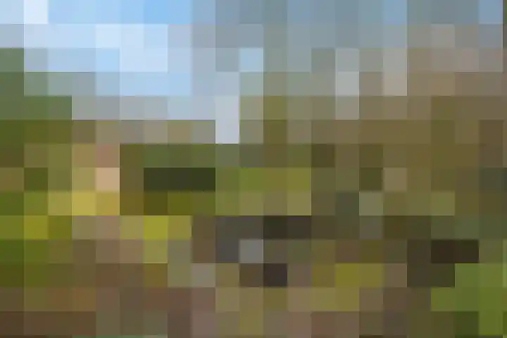Molenweg 62 Bergharen thumbnail 65