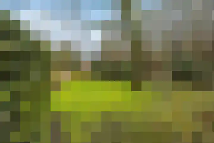 Molenweg 62 Bergharen thumbnail 66