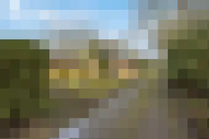 Molenweg 62 Bergharen thumbnail 67