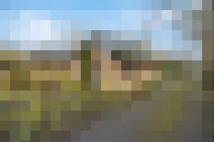 Molenweg 62 Bergharen thumbnail 68