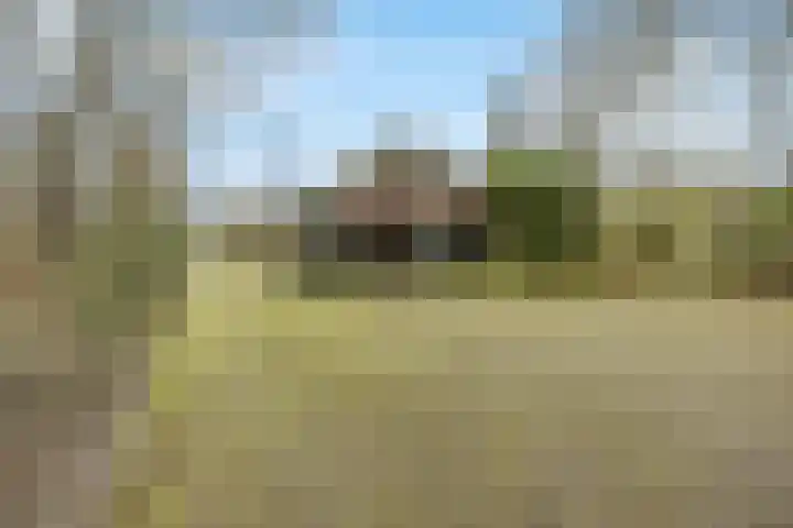 Molenweg 62 Bergharen thumbnail 71