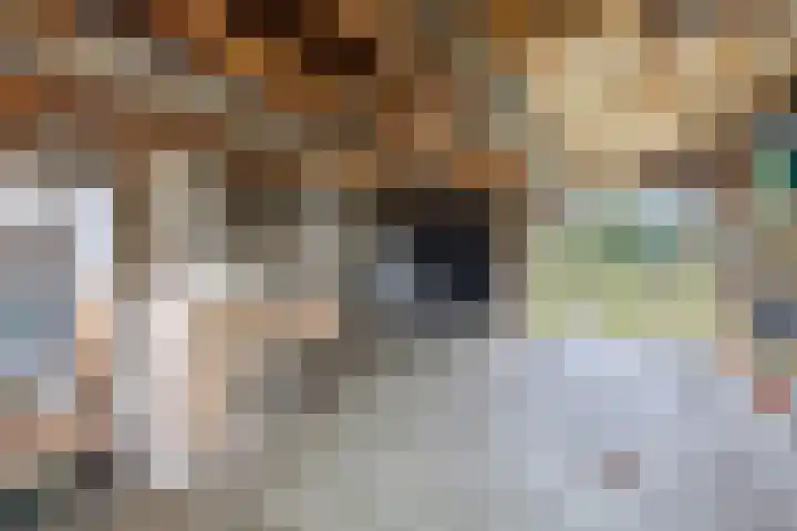 Molenweg 62 Bergharen thumbnail 72