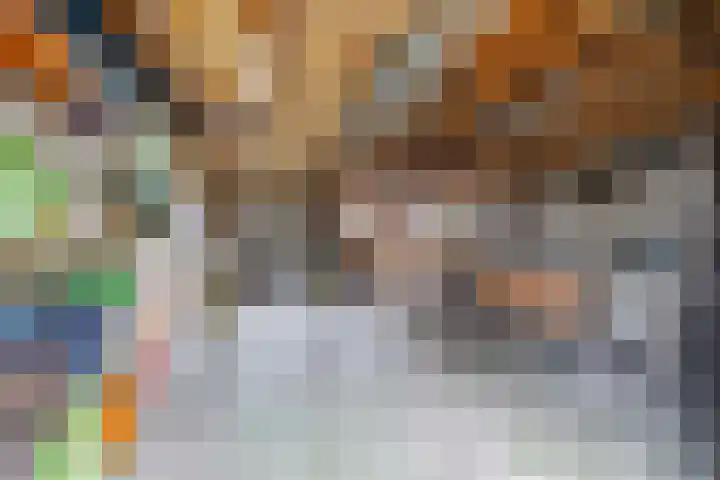 Molenweg 62 Bergharen thumbnail 73