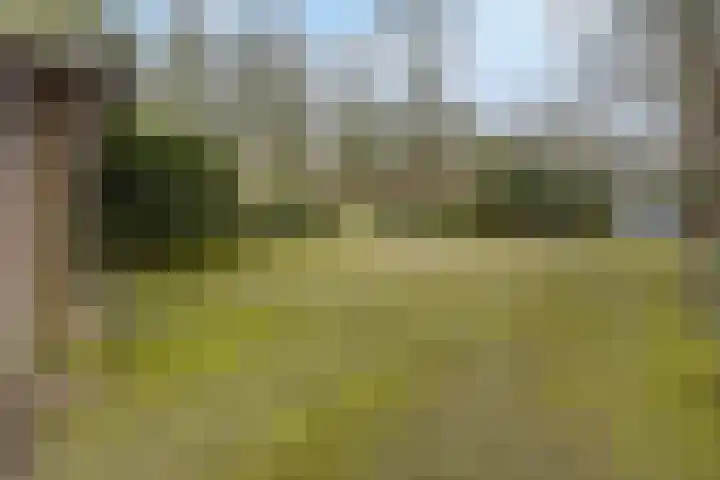 Molenweg 62 Bergharen thumbnail 74