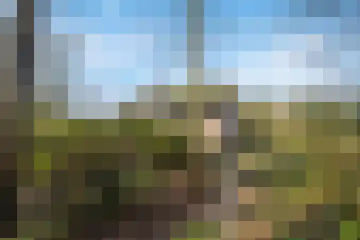 Molenweg 62 Bergharen thumbnail 75