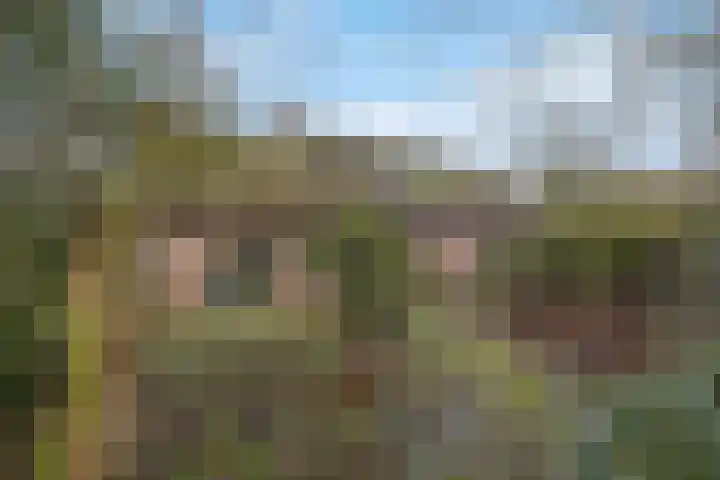 Molenweg 62 Bergharen thumbnail 76