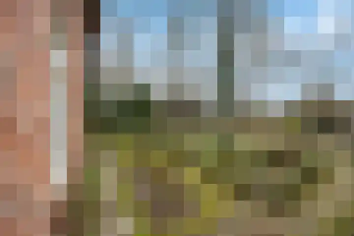 Molenweg 62 Bergharen thumbnail 78