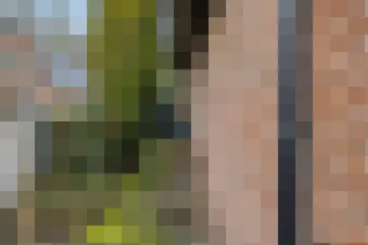 Molenweg 62 Bergharen thumbnail 79