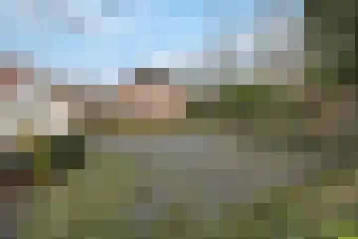 Molenweg 62 Bergharen thumbnail 81